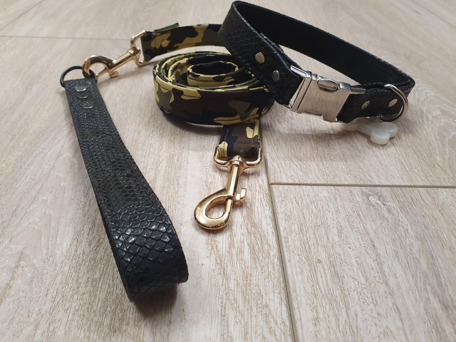 SET_Collier + Laisse ◾️ TREILLIS 