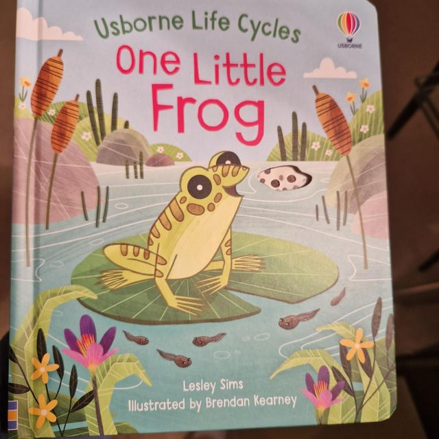 Usborne Life Cycles - one little frog 