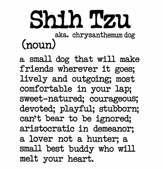 Dog Breed Definition Mug – Shih Tzu | Funny Dog Lover Gift