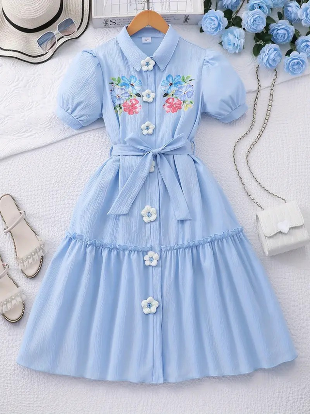 Dress, Elegant Blue Floral Embroidered Dress with Puff Sleeves &amp; Bow Waist