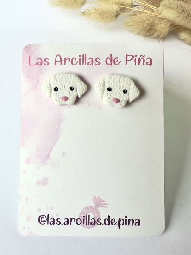 Perritos