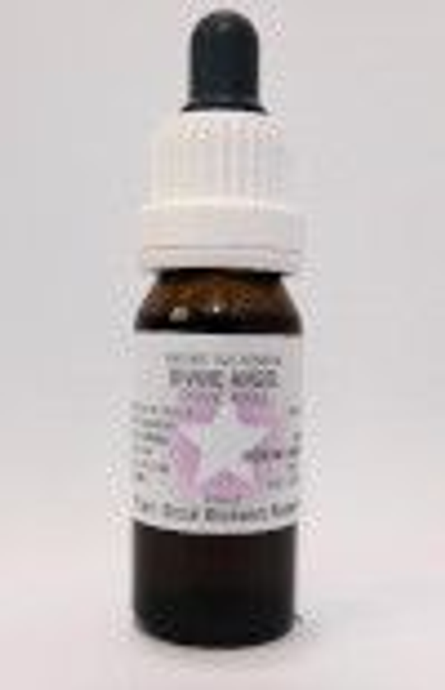 Netherlands Bloesem Essence - Divine Angel