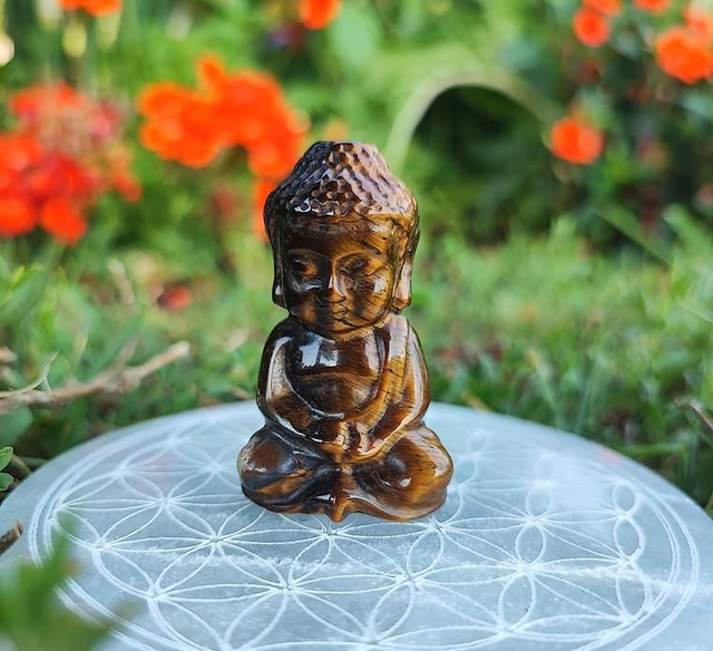 Bouddha œil de tigre A