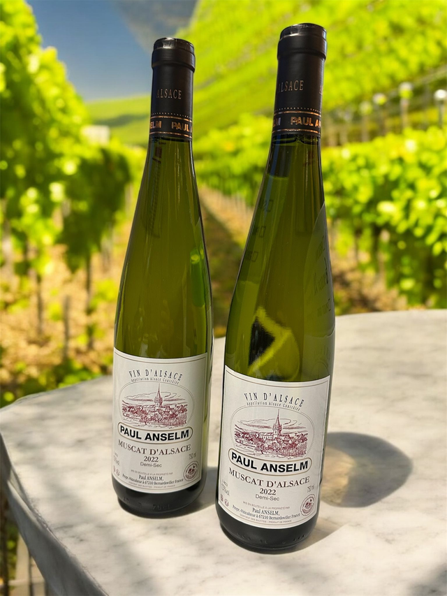 Muscat d'Alsace - Domaine Anselm