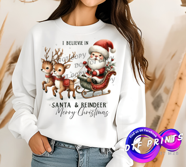 I believe in Santa &amp; Reindeer