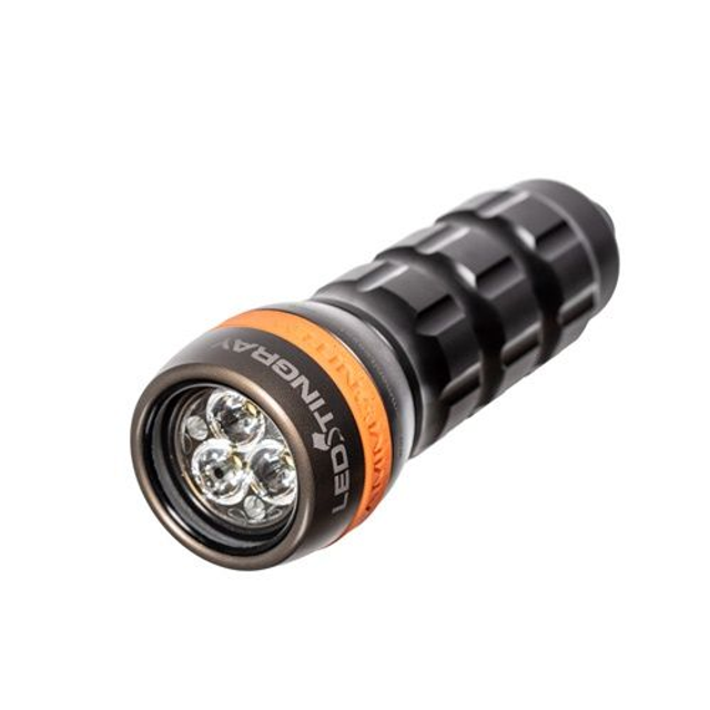 Ammonite Led Sting Ray basic set plus