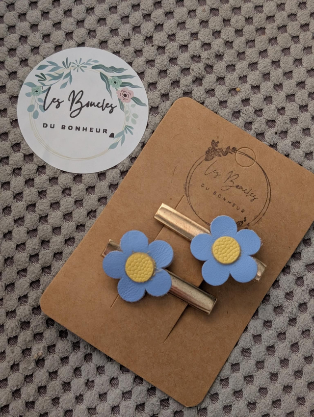 Barrette b065