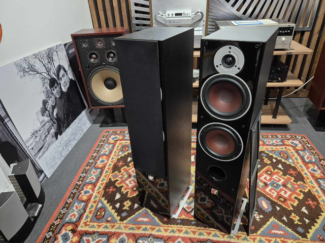 DALI Zensor 7