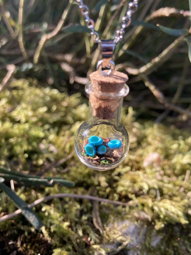 Pendentif pezize turquoise