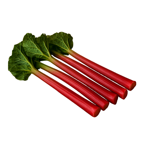 Rhubarbes 🧺