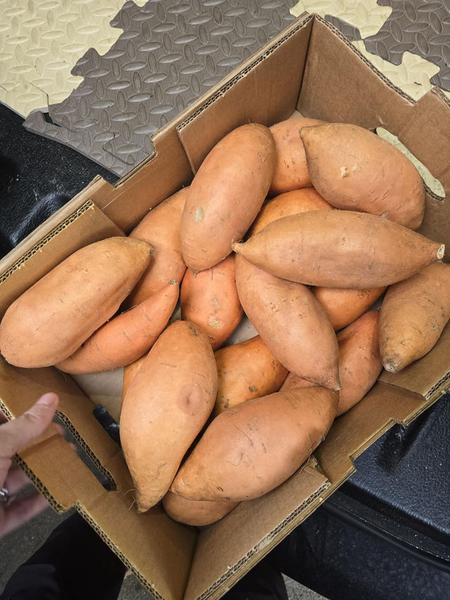 Sweet potatoes