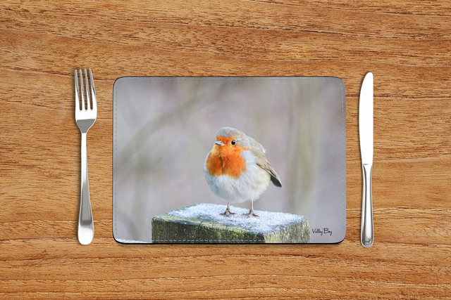 “Frosty Toes” Placemat 