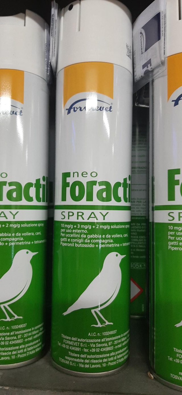 Neo foractil 300 ml