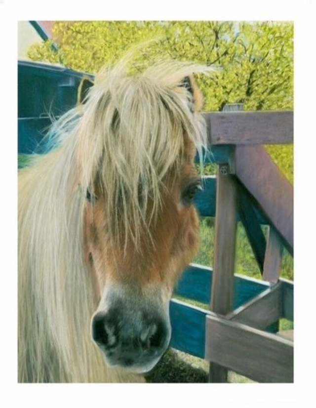 Print (small) 'SIDNEY' (Olde Manegepeerd) 