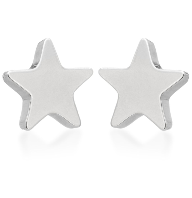 Titanium Star Stud Earrings - pair