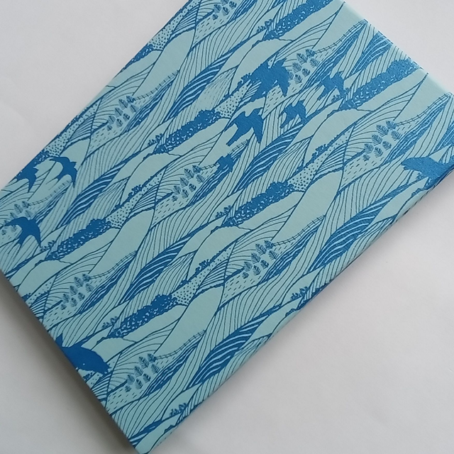 Landscape  concertina  book