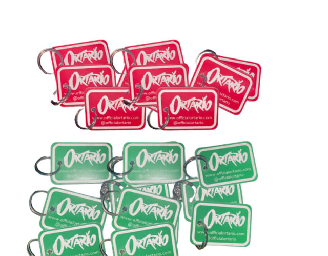 Ortario Key Ring