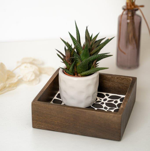 Vide-poche « Jardin d’ébène »