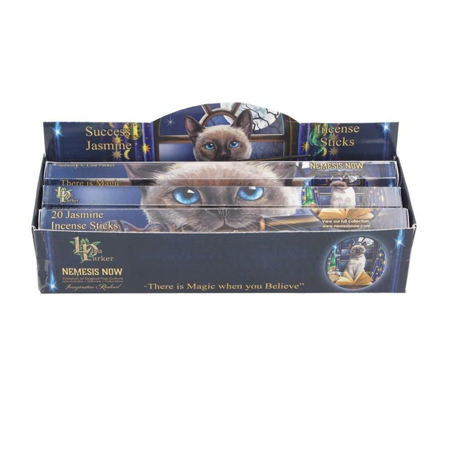 Lisa Parker - Success (Jasmine) incense sticks (20)