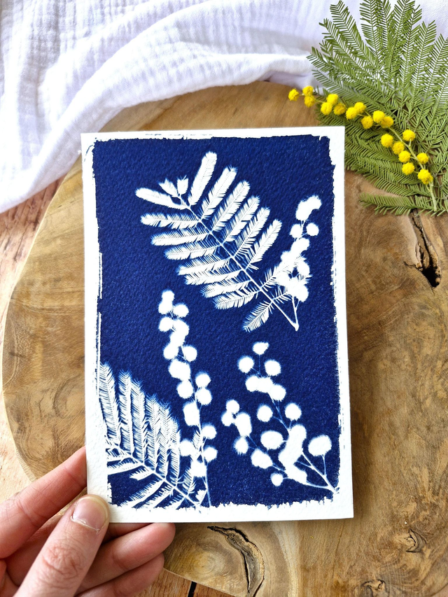 💙 Cyanotype - Carte 5 - Mimosa Ô! - Mini  CyanÔ