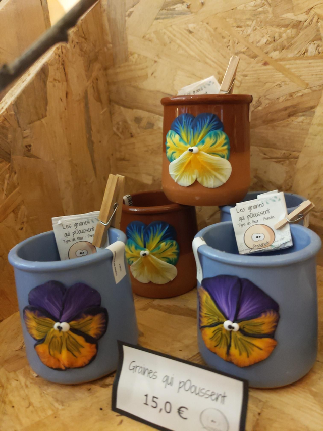 Graines qui pOoussent 