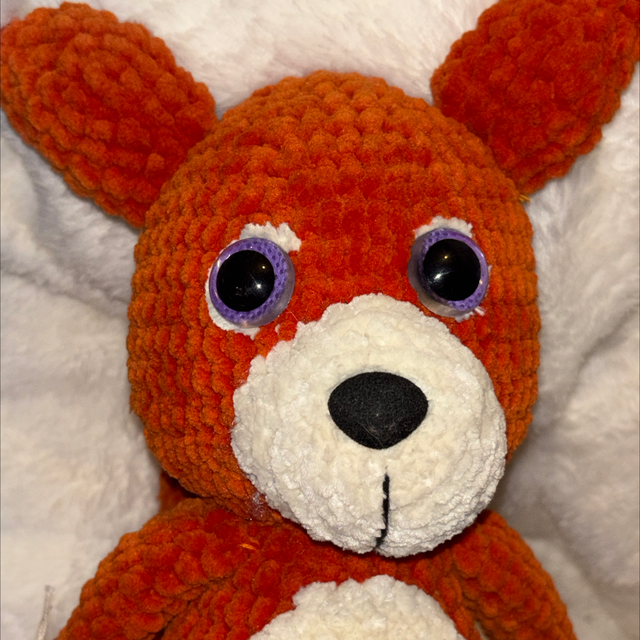 Hector l’écureuil  