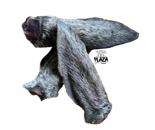 Orecchie di cervo con pelo