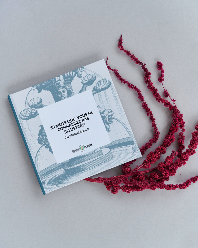 50 mots que vous ne connaissez pas (illustrés) - Version gravures