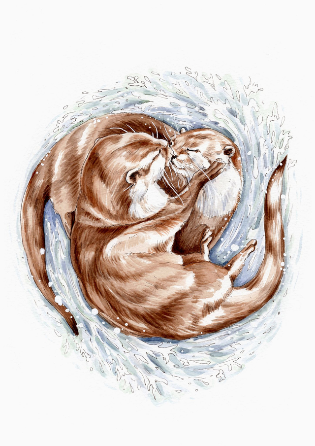 Kissing Otters Print - After an Original Ink and Watercolour Painting