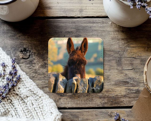 “Peeping Donkey” Coaster  