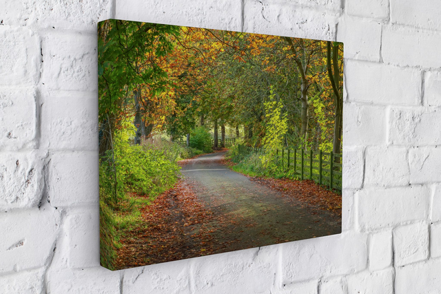 "Autumn at More Hall" Canvas