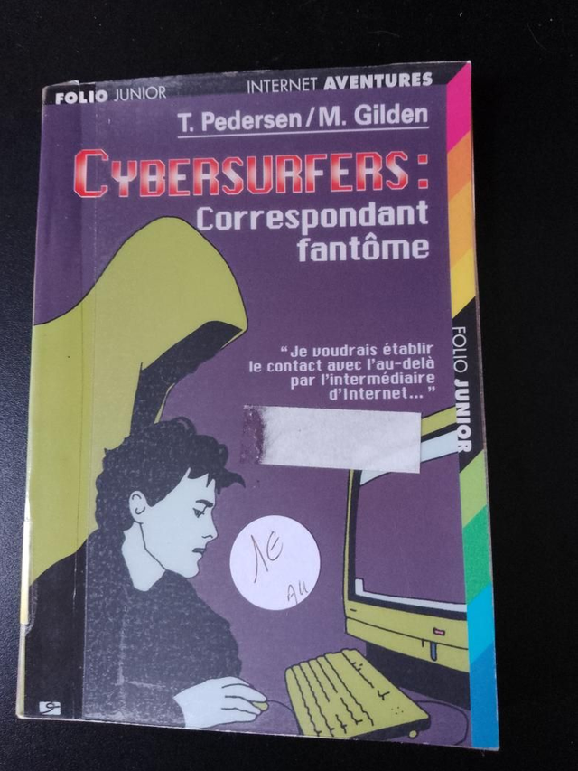 Cybersurfers : correspondant fantôme, T. Peterson/M. Gilden