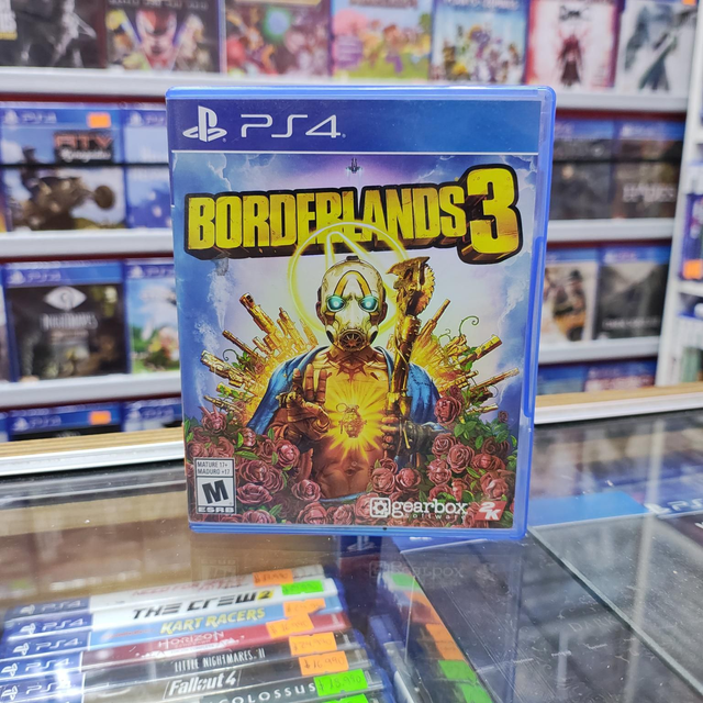 Borderlands 3 Usado