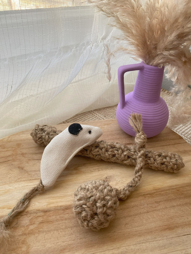 Kit Jute'Chat