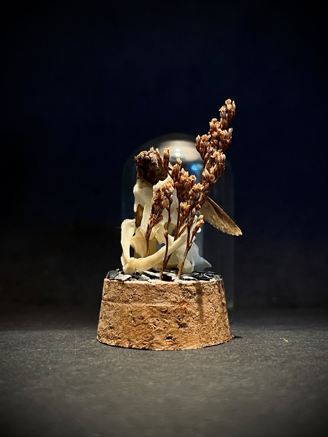 Miniature - Plusieurs choix