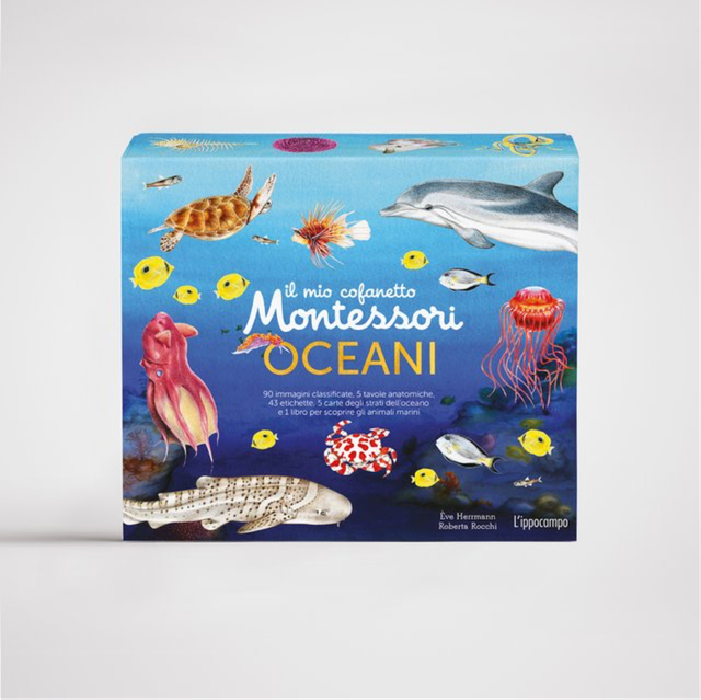Il mio cofanetto Montessori degli oceani - Eve Hermann, Roberta Rocchi