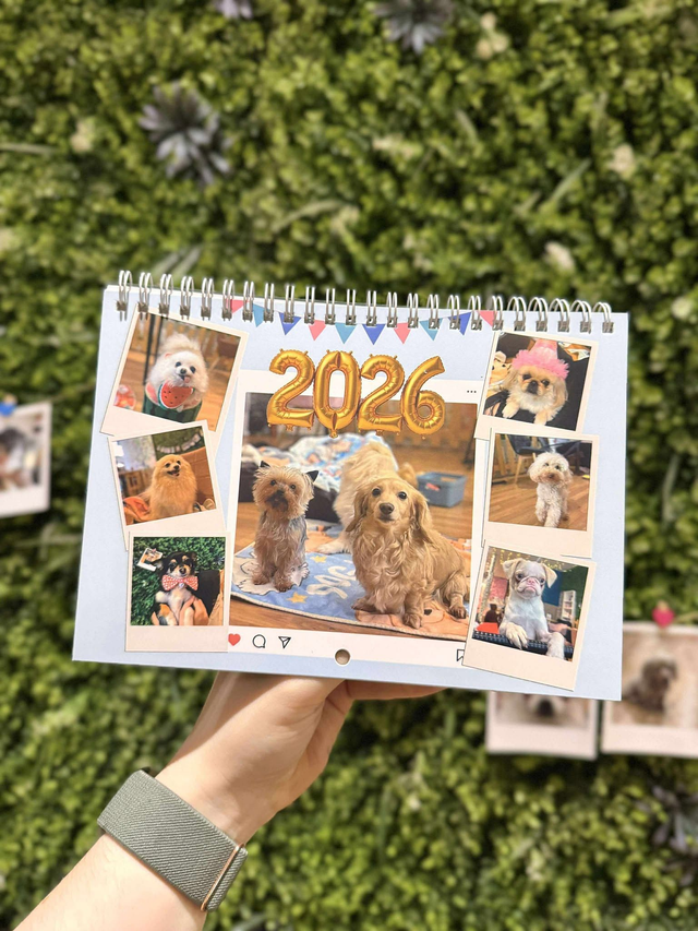 Dog and scone calendar 2026 