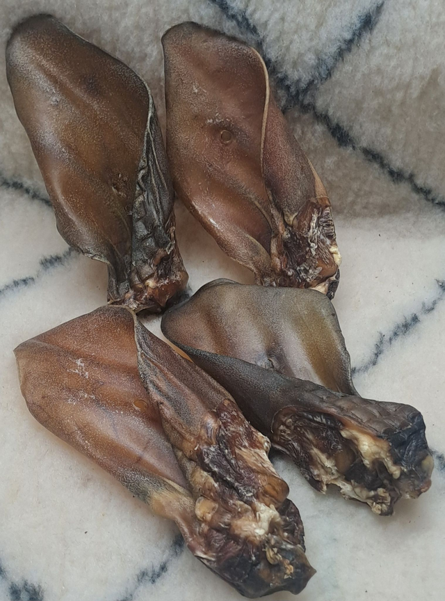 08 - Oreille de Bœuf