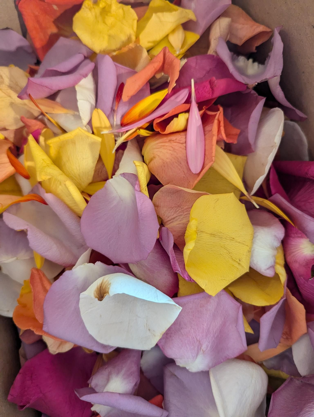 Carte cadeau numérique 