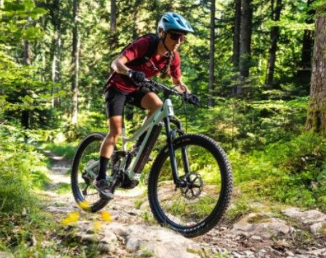 VTT électrique | Adulte