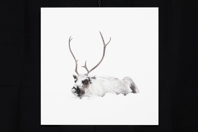 Photo &quot;La découverte&quot; en grand format et très haute qualité