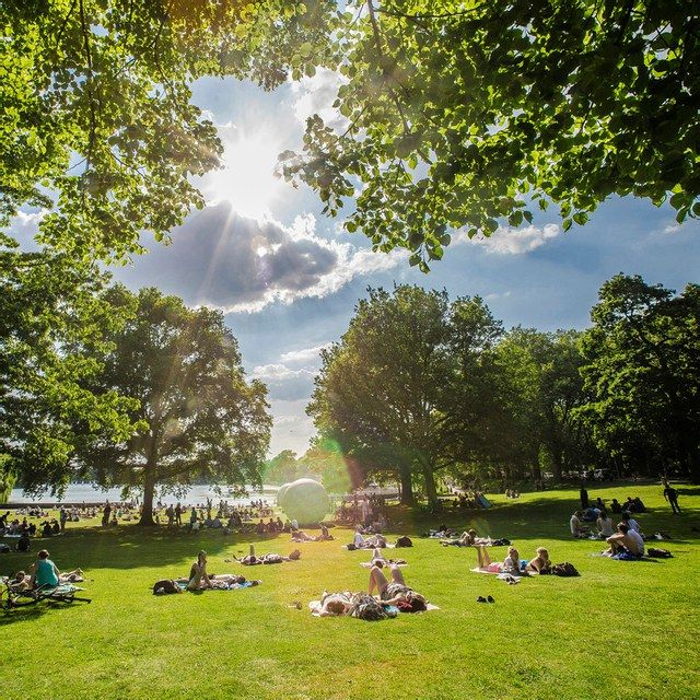 Sommer am Aasee