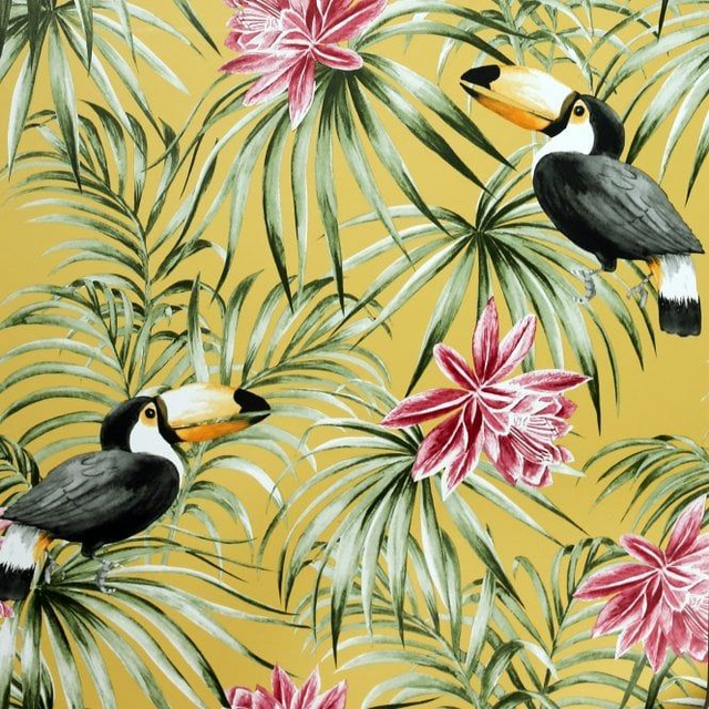 Toucan Ochre - Arthouse - 298301