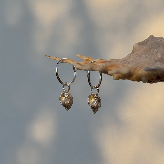 Spiral Shell Earrings