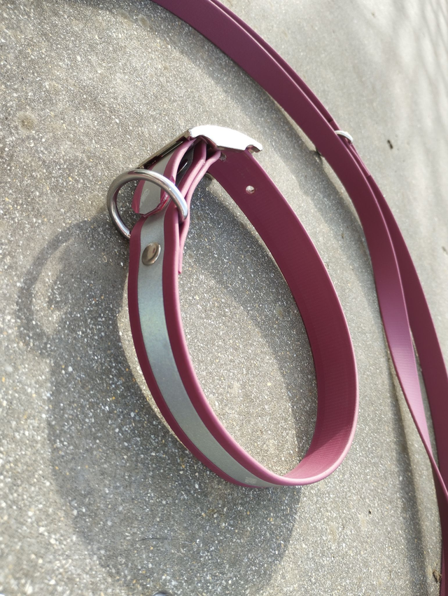 Collier Biothane (19mm) réfléchissant personnalisable