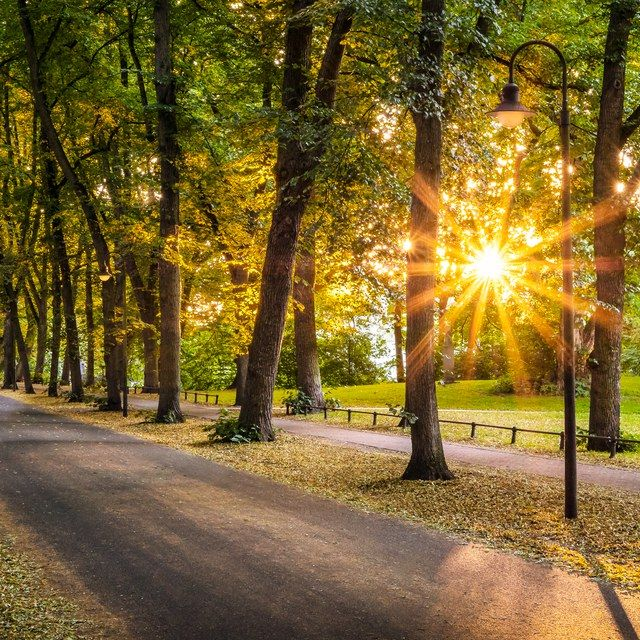 Sonnige Promenade