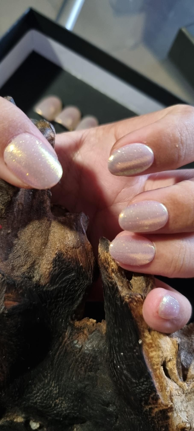 Rose gold sirena rond xs