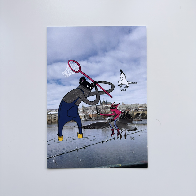 Seagull Hunt