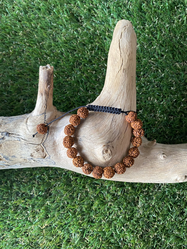 Bracelet Graine de Rudrashka