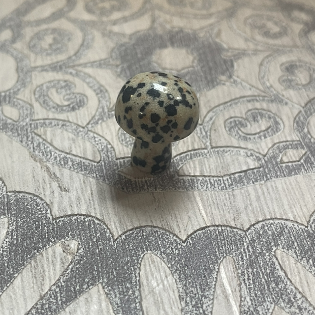 Mini Toadstool - Dalmatian Jasper